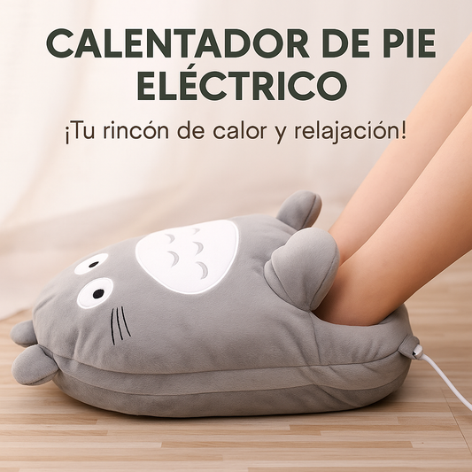 Calentador Electrico Para Pies